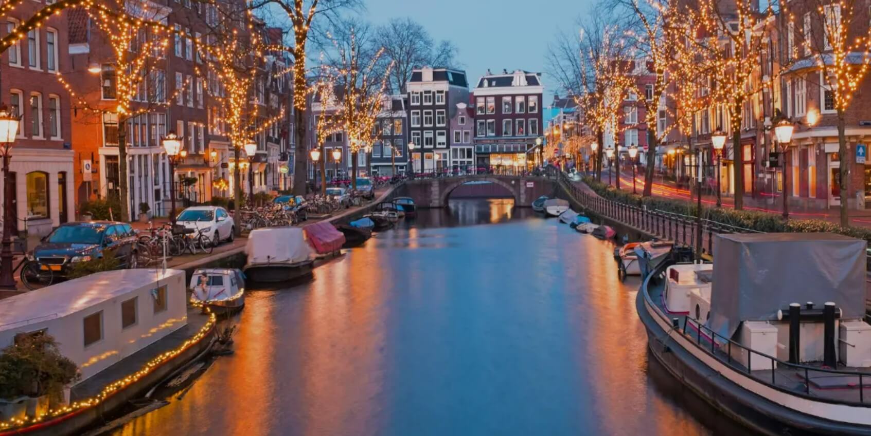 amsterdam canal in the nighttime with fairy lights on the trees