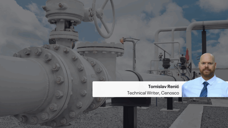 reducing risk with effective flange management blog by tomislav renić