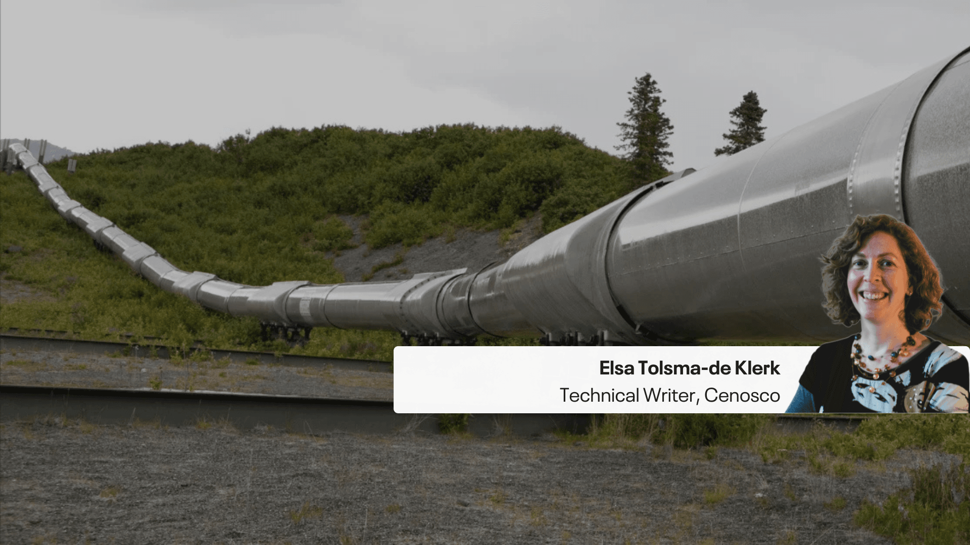 fabric maintenance (4)