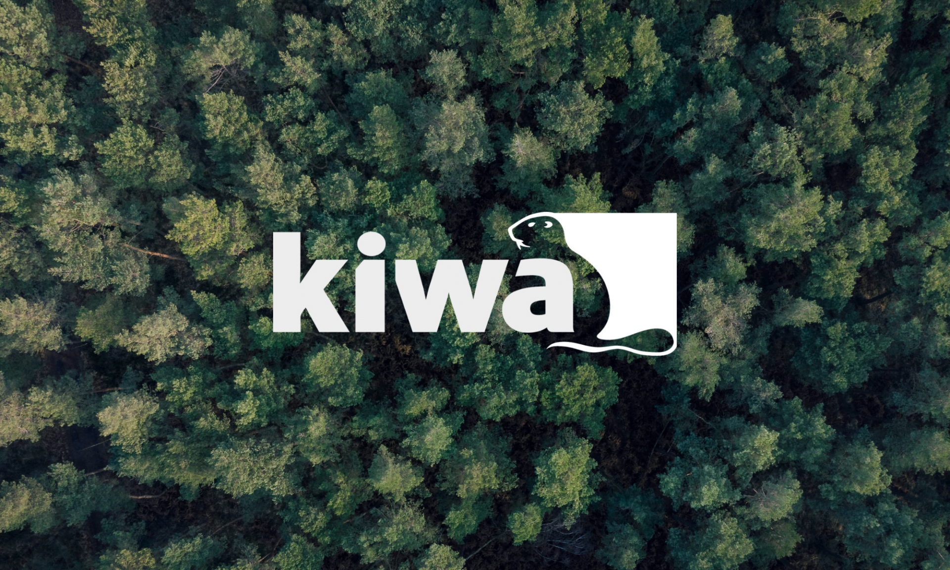 cenosco à kiwa 2024