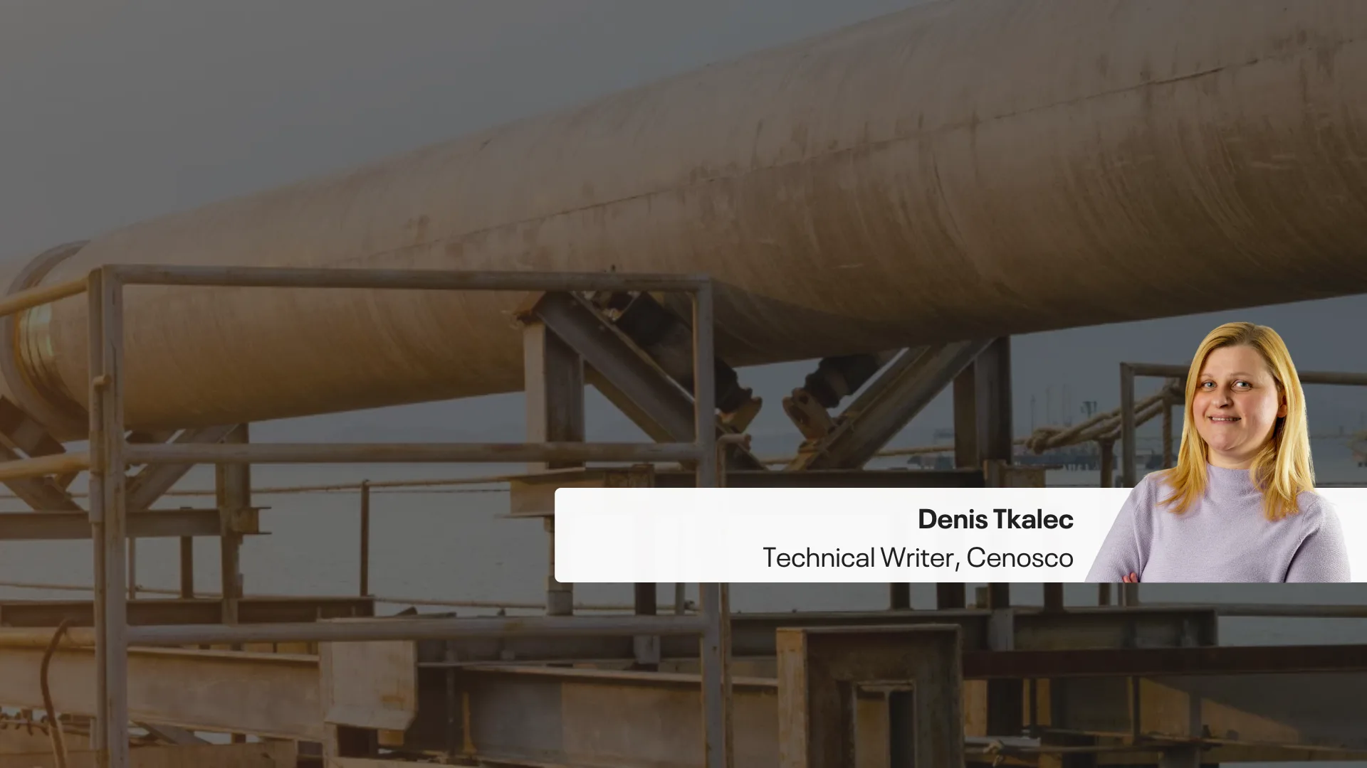 管道完整性：安全与盈利的完美结合- Cenosco