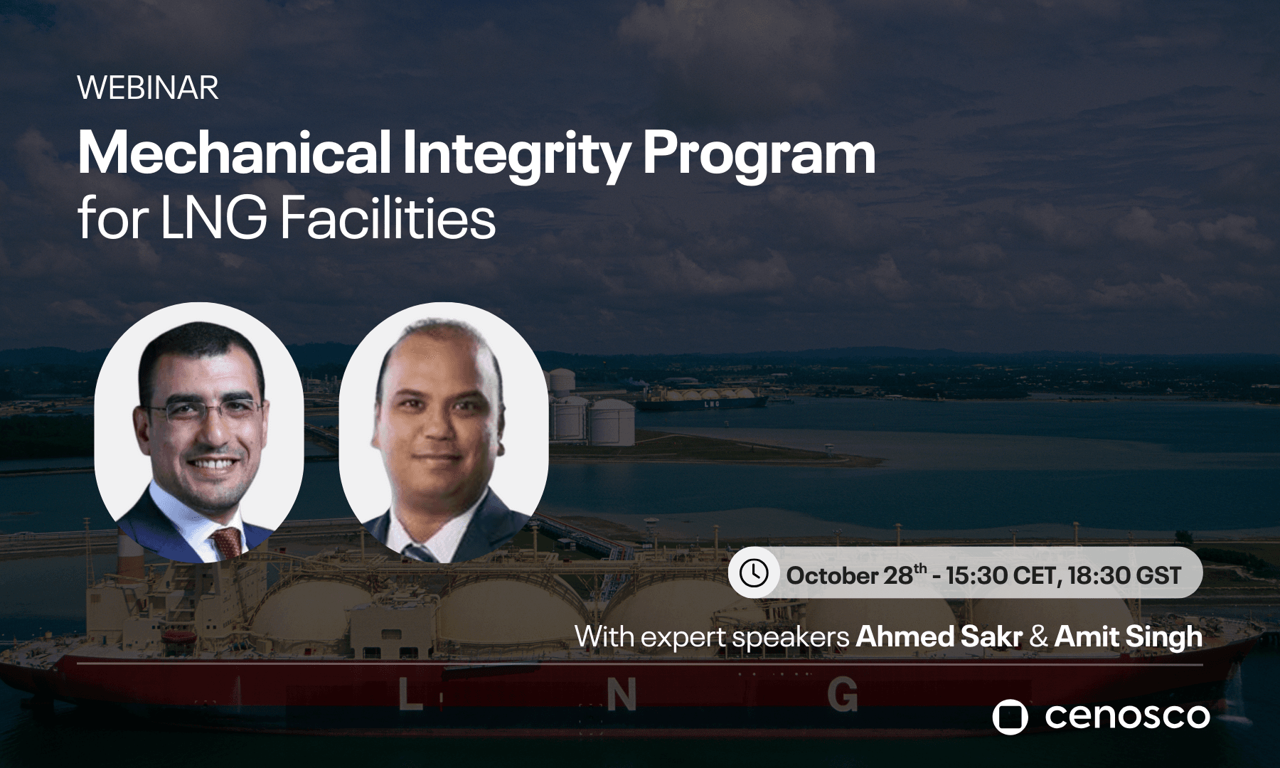 mechanical integrity program for lng facilities