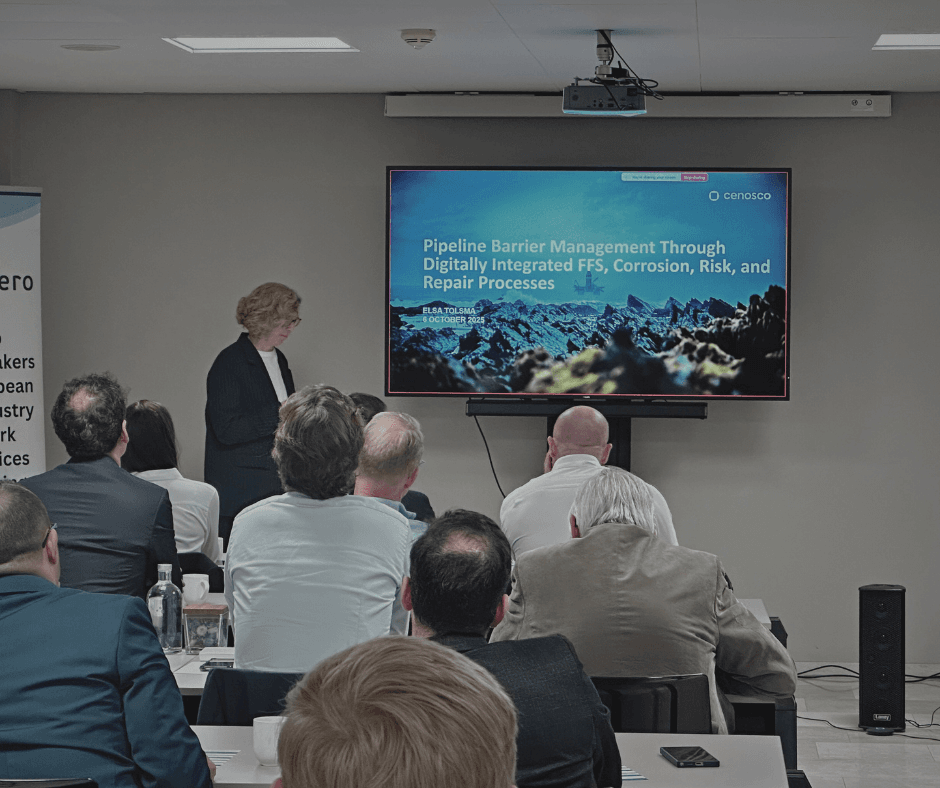 elsa tolsma-de klerk presenting