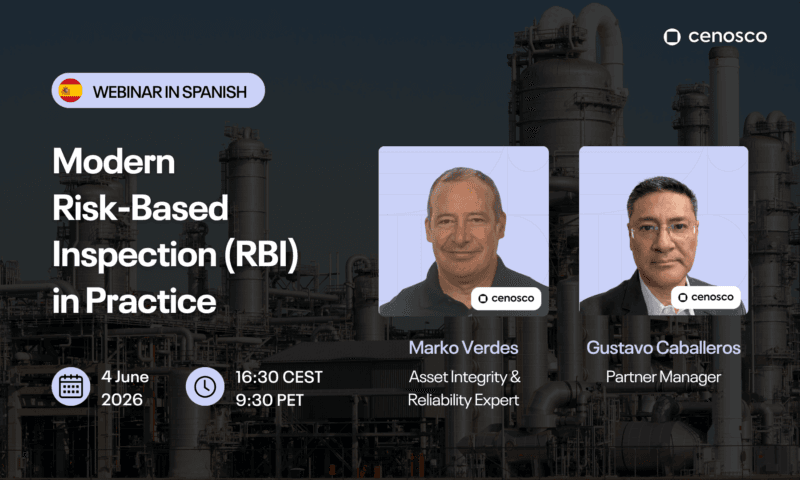 inspección basada en riesgos (ibr)