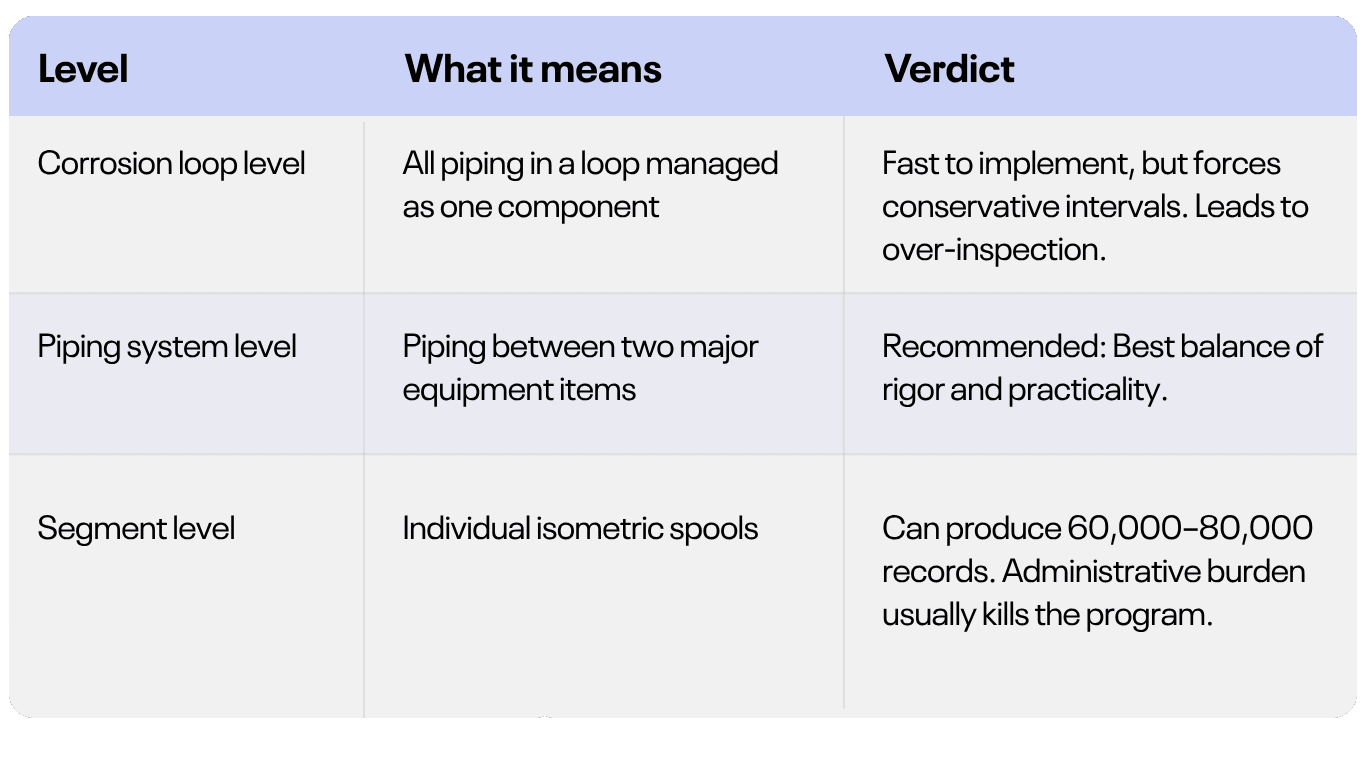 piping granularity levels, corrosion loop level, piping system level, segment level