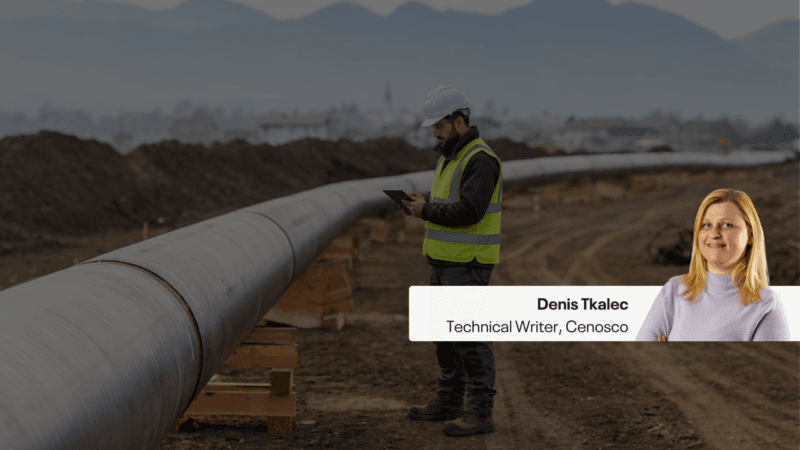 pipeline fitness for service software